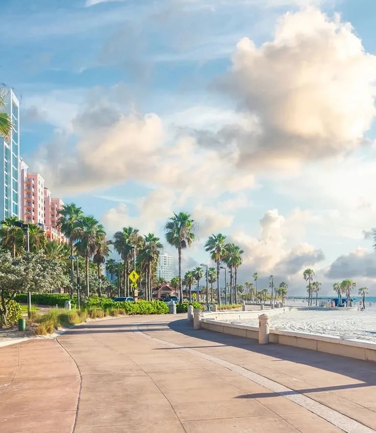 A road next to the ocean with palm trees.